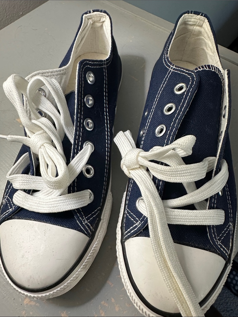 Classic Navy Canvas Low-Top Sneakers with White Toecap